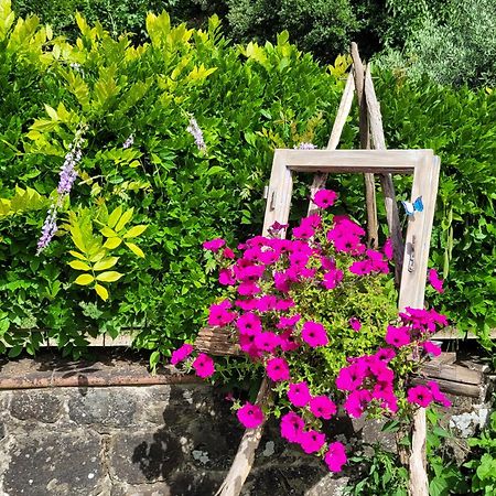 شقة La Casa Nel Chianti غريفي ان شنتي المظهر الخارجي الصورة