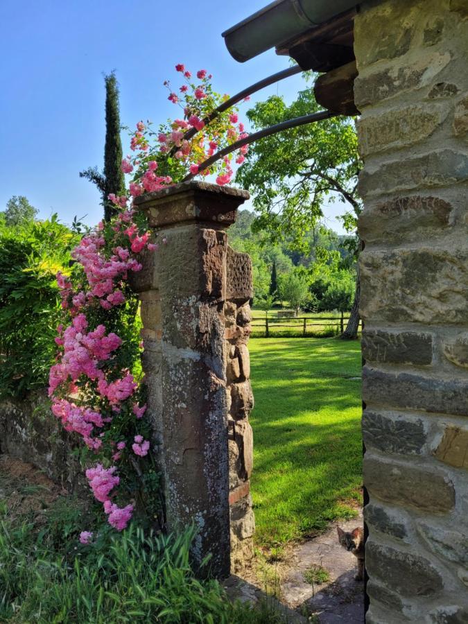 شقة La Casa Nel Chianti غريفي ان شنتي المظهر الخارجي الصورة