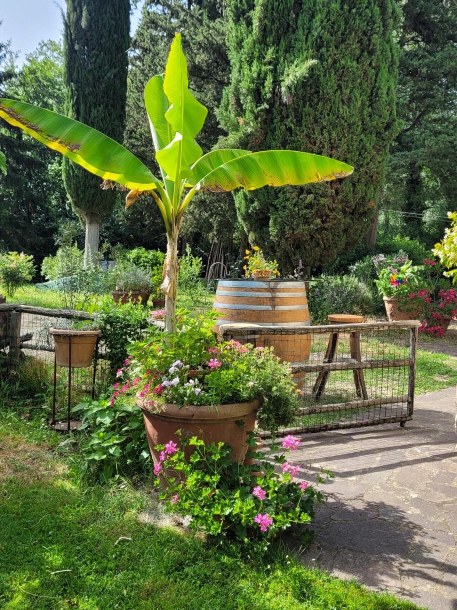 شقة La Casa Nel Chianti غريفي ان شنتي المظهر الخارجي الصورة